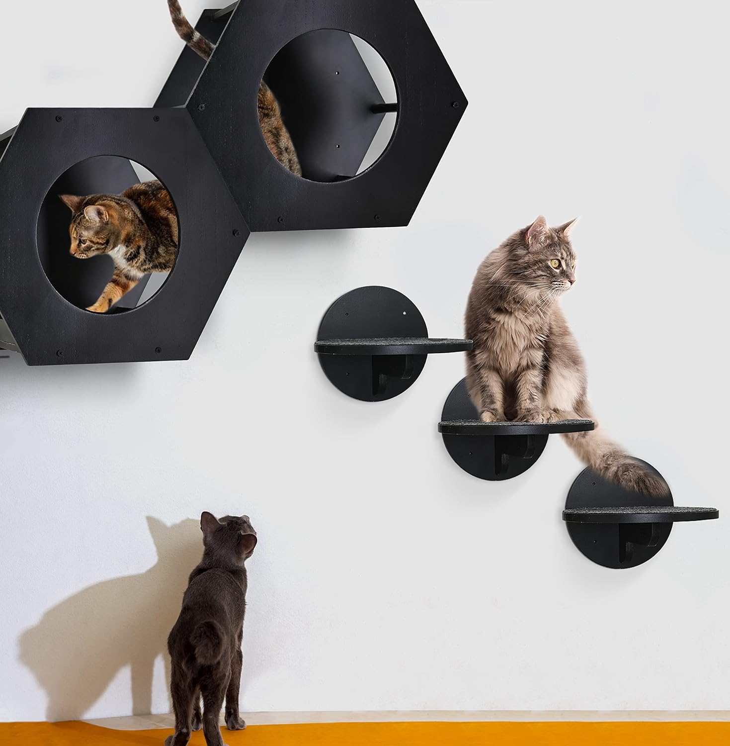 Arbol Para Gatos Cama Para Gatos Navaris De Pared Con Escalones
