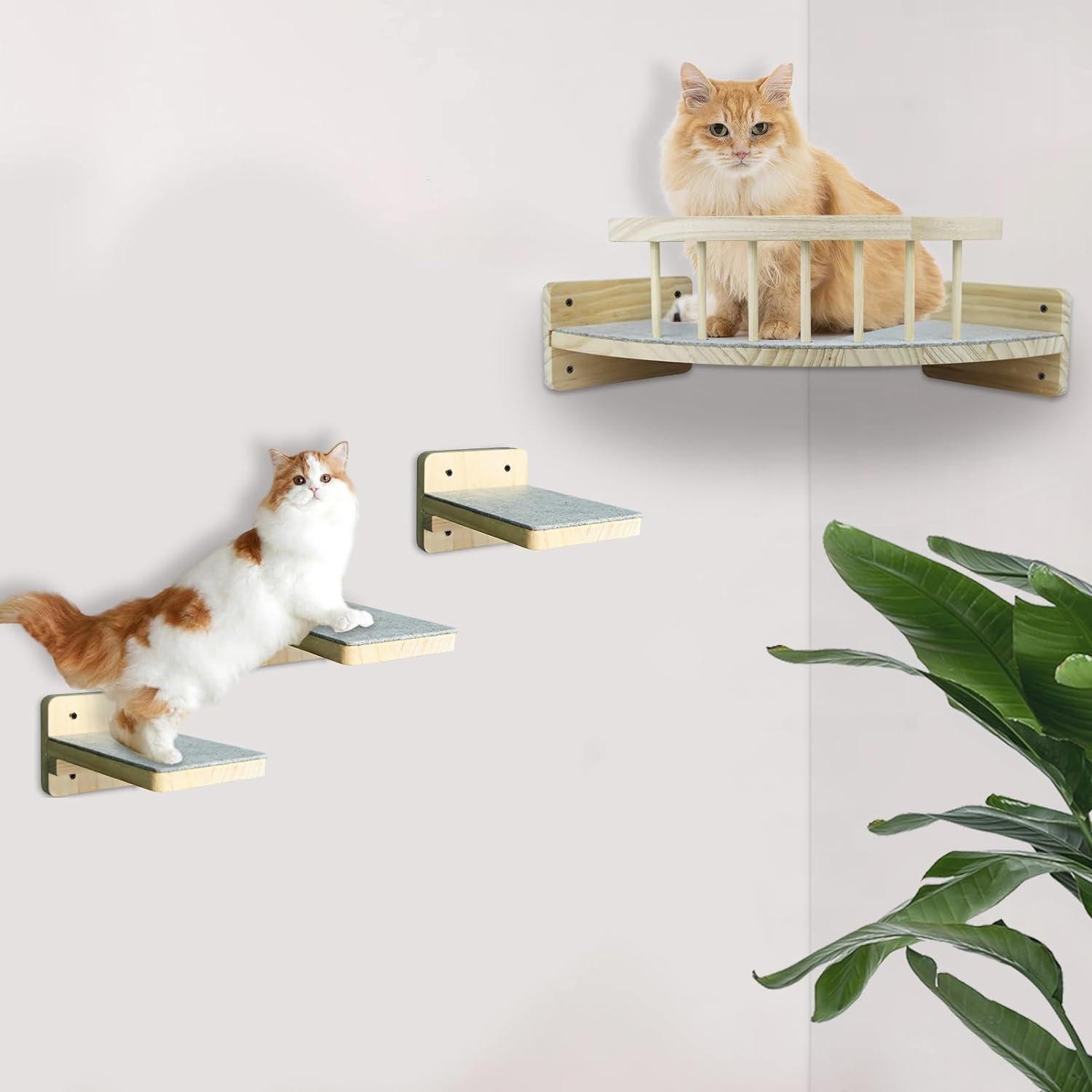 Estantes de pared para gatos resistentes y espaciosos