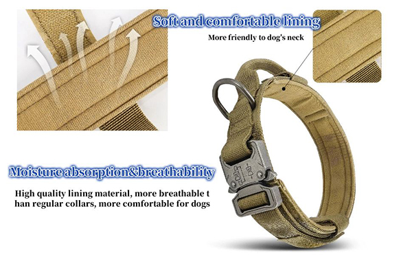 2.abrochar el collar de perro