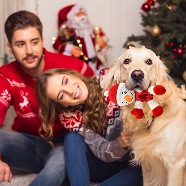 Juguetes de alimentación al por mayor a granel de Squeakers de goma del Chew de la felpa del muñeco de nieve de Santa de la Navidad