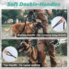 Wehao Sturdy Heavy Duty Anti Shock bungee Dog correa reflectante