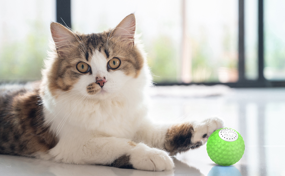 juguetes de enriquecimiento para gatos